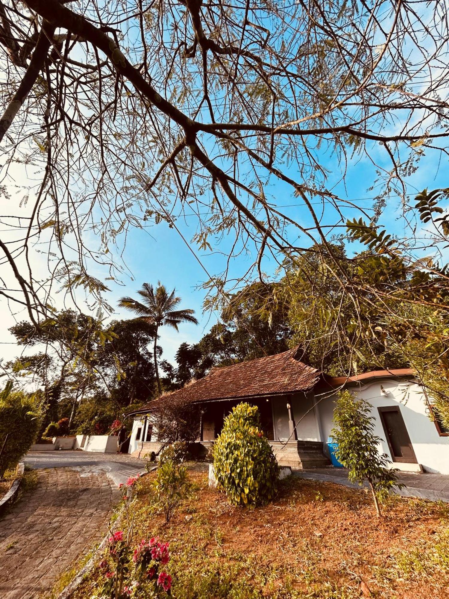 Silent House Villa Kudayattur Екстериор снимка